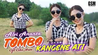 Download lagu Dj Tombo Kangene Ati - Alvi Ananta I   mp3