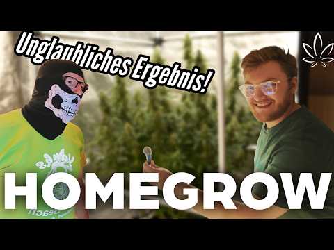 Private glimpse into his grow tent! | Homegrow