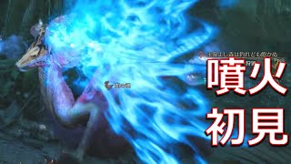 【初見】タマミツネさん、どう考えても一般海竜種の枠をはみ出してしまう………　チャージアックス ソロ【MHWs実況/モンハンワイルズ】