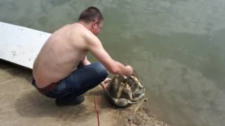 Рыбалка в солнечном ставропольский край