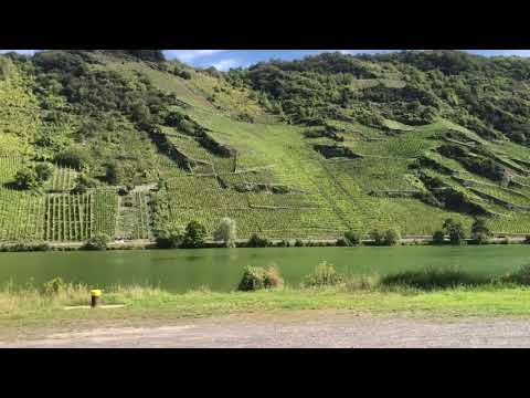 Probefahrt auf der Mosel.