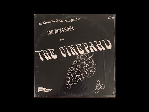 Dreams Of You -  Joe Rosanova & The Vineyard