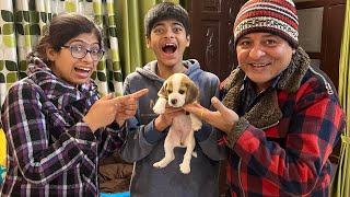 Surprised My Family With A New Puppy 🐶 *Full Sh