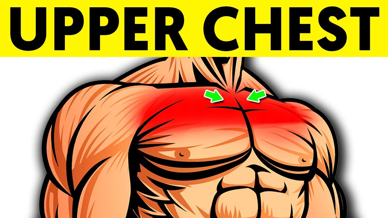 8 Exercises For an Attractive Upper Chest