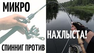 Ссылка