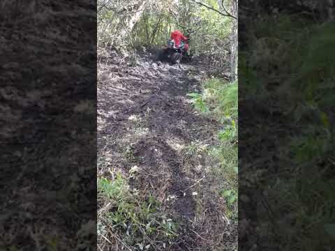 The ol 300 workin good 👌