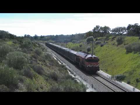 CP 1905 CM55982 Azinheira dos Barros 05 2013