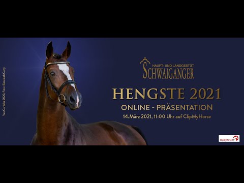 Hengstpräsentation Haupt- und Landgestüt Schwaiganger  2021
