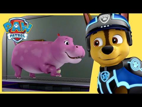 Best of Mission Paw and Ultimate Rescues 🚨 | PAW Patrol Compilation + More Cartoons for Kids