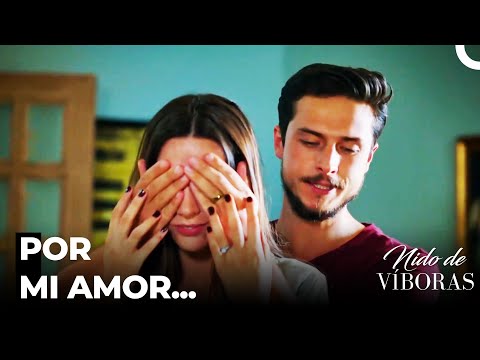 No Me Rindo Contigo - Nido De Víboras