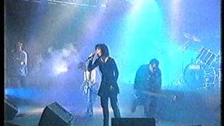 Curve - Turkey Crossing