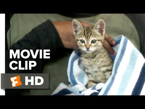 Keanu (Clip 'Everything Happens for a Reason')