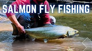 Salmon Run Is In Full Swing! | Salmon Fly Fishing