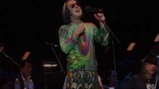 Todd Rundgren Akron Orchestra Aug. 31, 2013 - IF I HAVE TO BE ALONE