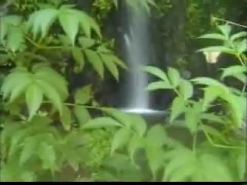 Raja Pala ngintip Nak Mandus