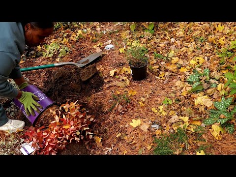 These Grabbed My Attention 👀 I Had To Have Them 🔥 🔥