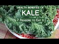Health Benefits Of Kale 7 Reasons To Eat It When To Avoid