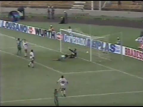 BOTAFOGO-SP 0x8 PALMEIRAS - Campeonato Paulista Série A1 1996 - Jornal Regional EPTV-RP  2ª edição