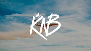 Martin Garrix &amp; Third Party - Lions In The Wild [Cakzo remix]