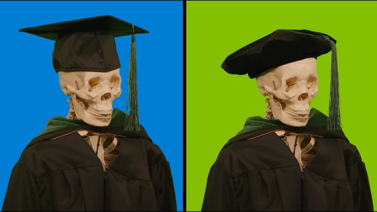 Commencement Regalia Guide