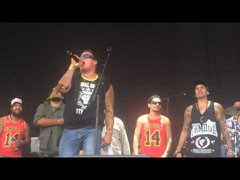RAGGAMUFFIN 2014 - Aotearoa Allstars- sensitive to a smile