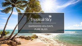 preview picture of video 'Barbados Holidays, Pure Bliss Tropical Sky HD'