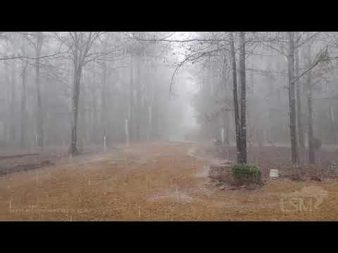 01-01-21 Valley, Alabama Heavy Rain