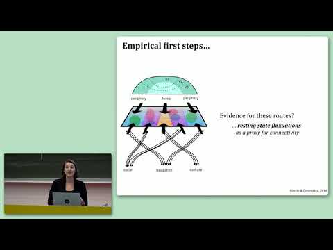 CCN 2019: Keynote KN-9: "Why is that there? Feature mapping across the visual cortex"