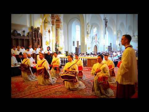 CATHOLIC TRADITION: Domine Non Sum Dignus