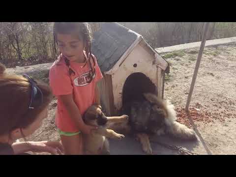 Random összeállítás Lyukóból