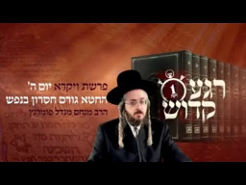 רגע קדוש מהאור החיים - פרשת ויקרא יום ה'