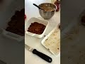 Biscoff Ice Cream Creamy Crunchy Irresistible Dessertlover Yummy Cooking Delicious Tasty