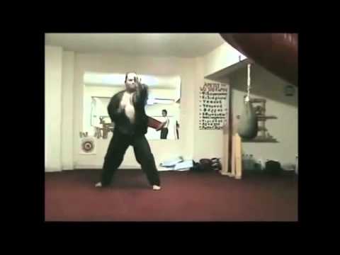 The Black Dragon Gangnam Style by Thanasis Kom