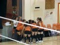 Logger Volleyball 2