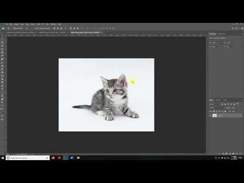 1 Setup Account Download ADOBE CREATIVE CLOUD ADOBE PHOTOSHOP PROFESSIONAL EDITING COURSE