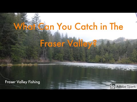 Video Thumbnail for What Can You Catch In The Fraser Valley? Part 1