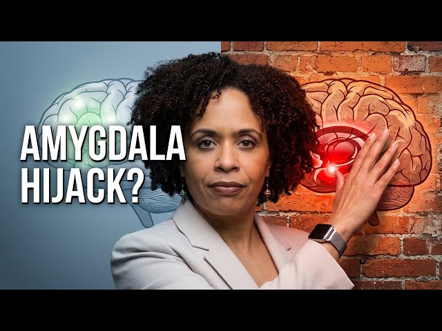 Understanding Conflict: How to Keep Your Brain in Control During ...