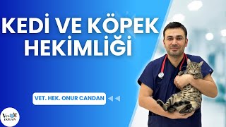 Veteriner Hekimliği Sektörleri | Kedi ve Köpek Hekimliği, Vet. Hek. On