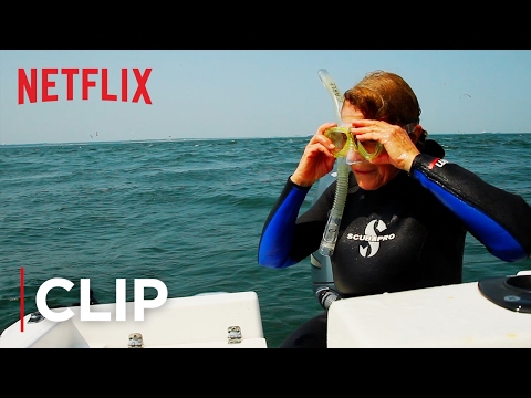 Thumbnail of the video: Hope Spots
