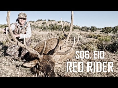 ARIZONA BIG BULL ELK - FLTV S06 E10 RED RIDER