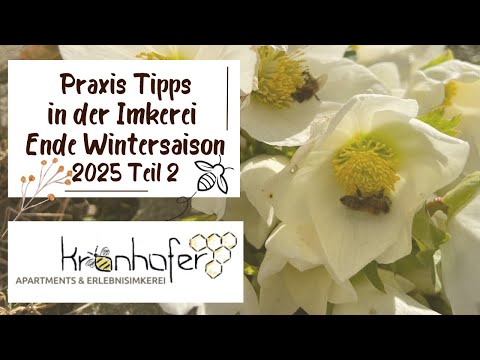16. Praxis Tipps - Weisellos beim Auswintern