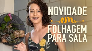 Miniatura do vídeo