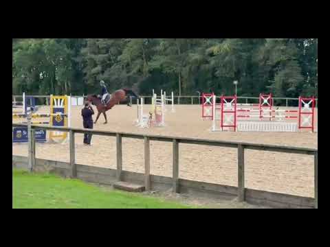 Casco Diamond show video