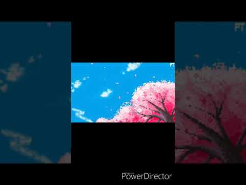 Young DK - BUNTE RACKS