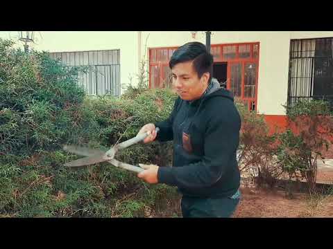 tipos de seminaristas en espectativa y realidad 😀😀