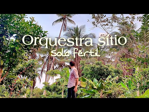 ORQUESTRA SÍTIO ( Solo Fértil) Júlio Guimarães ((( CONTÉM ASMR! Use fones)))