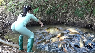 Full Video: The Young Girl's Excellent Fishing Skills on The River and Lakes, Caught a Lot of Fish