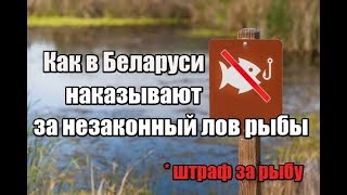 Ссылка