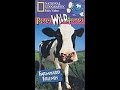 Opening To Really Wild Animals Farmyard Friends 1997 VHS