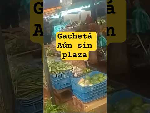 🛑 Y la plaza para cuando? Comerciantes piden agilizar entrega de la Plaza me mercado en Gacheta